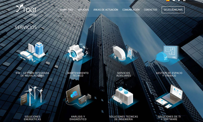 TDGI España - Website